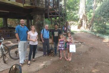 هتل Jungle Jive Tree House