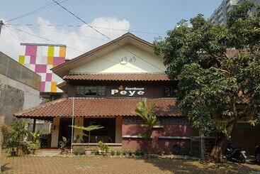 پانسیون Peye Guesthouse