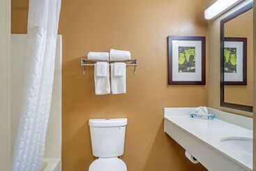 هتل Mainstay Suites Chicago Hillside