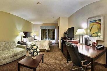 هتل Magnolia Inn And Suites Pooler