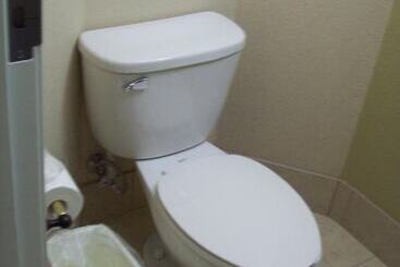 هتل Magnolia Inn And Suites Pooler