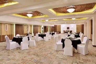 هتل Radisson Srinagar