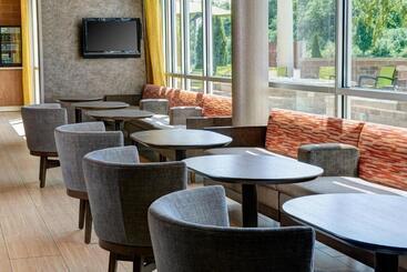 هتل Springhill Suites By Marriott Saginaw