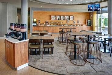 هتل Springhill Suites By Marriott Saginaw