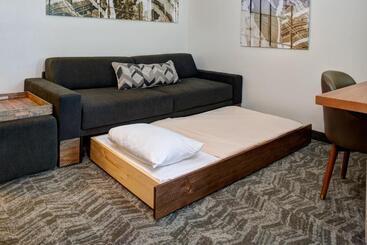 هتل Springhill Suites By Marriott Saginaw