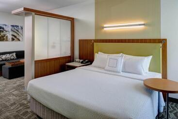 هتل Springhill Suites By Marriott Saginaw