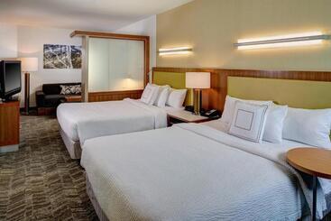 هتل Springhill Suites By Marriott Saginaw
