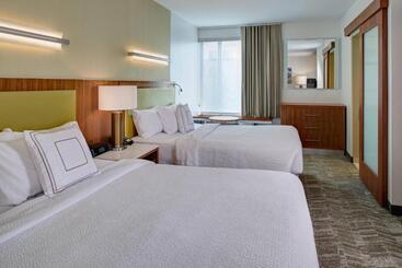 هتل Springhill Suites By Marriott Saginaw