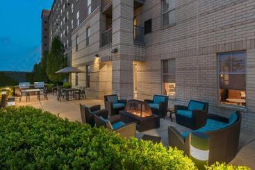 Residence Inn By Marriott St. Louis Downtown