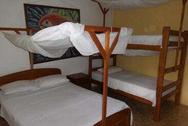 تختخواب و صبحانه Tambopata Hostel