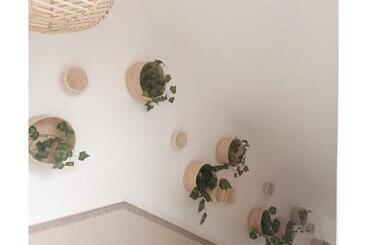 تختخواب و صبحانه Villa Nour