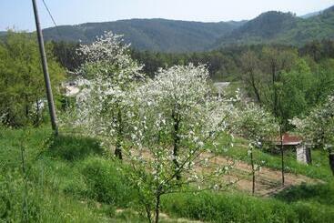 هتل Agriturismo Casalino