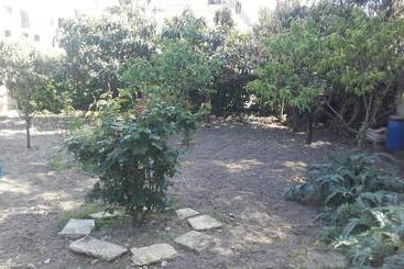 B&b La Palma