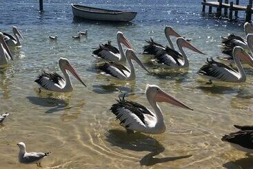 Beaches Apartments Merimbula