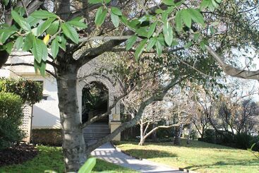 تختخواب و صبحانه Mourilyan House