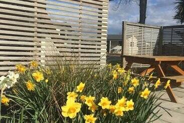 Geraldine Top 10 Holiday Park