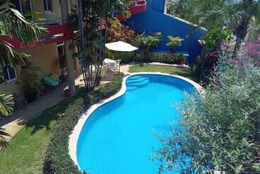 Casa Misifus