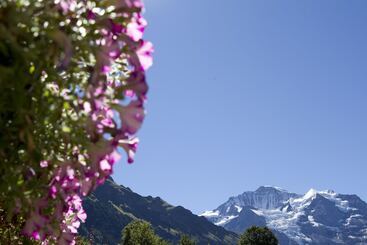 Chalet Miravalle