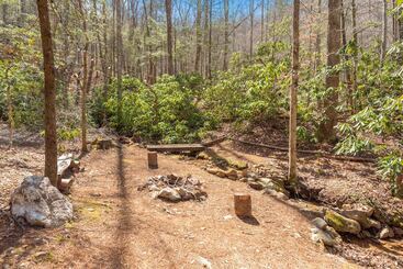 Bear Paw Trail