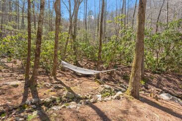 Bear Paw Trail