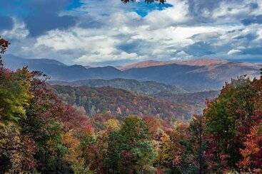 Beary Patch Hill