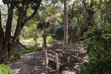 In Laurissilva Forest, Casa Do Lanço   Carvalho