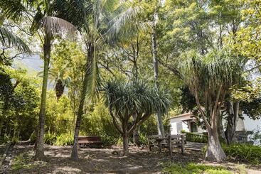 In Laurissilva Forest, Casa Do Lanço   Carvalho