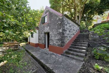 In Laurissilva Forest, Casa Do Lanço   Carvalho