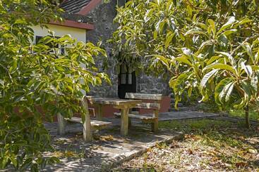 In Laurissilva Forest, Casa Do Lanço   Carvalho