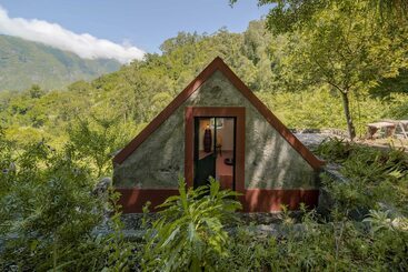 In Laurissilva Forest, Casa Do Lanço   Carvalho