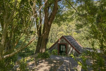 In Laurissilva Forest, Casa Do Lanço   Carvalho