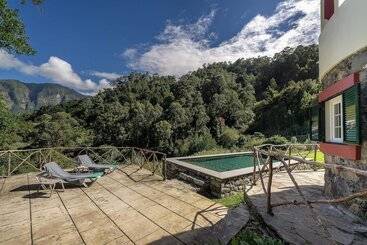 In Laurissilva Forest, Casa Do Lanço   Carvalho