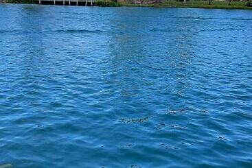 تختخواب و صبحانه River Bend Resort Belize