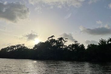 تختخواب و صبحانه River Bend Resort Belize