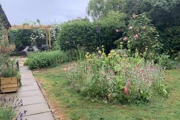 Come & Stay On A Real Norfolk Vineyard