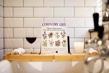 Luxury Thatched Country Cottage   Dartmoor, Devon