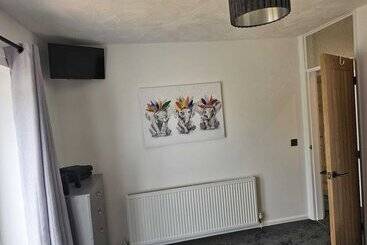 Modern, Spacious Walking Distance To Castle & Town