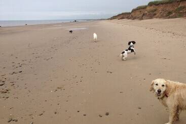 Luxury Dog Friendly Cottage Sleeps 4