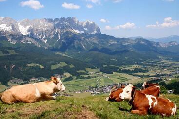 تختخواب و صبحانه Schnapperhof