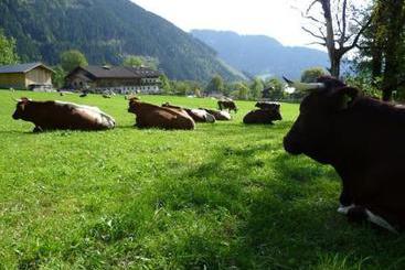 茅舍 Bauernhof Vorderfromm