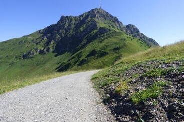 هتل Panorama