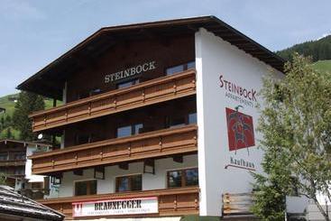 דירות לתיירים Appartements Steinbock   Ski In & Ski Out