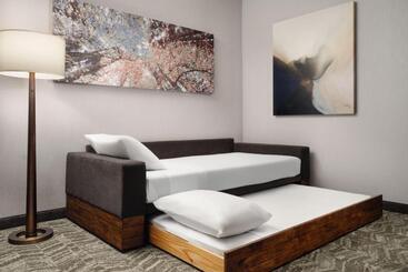 هتل Springhill Suites By Marriott Milpitas Silicon Valley