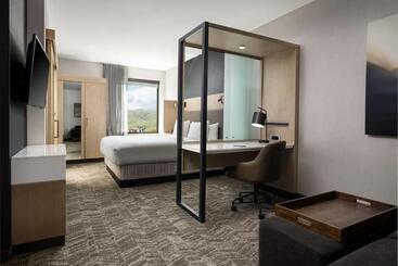 هتل Springhill Suites By Marriott Milpitas Silicon Valley