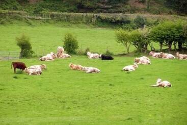 تختخواب و صبحانه Erwlon Farm