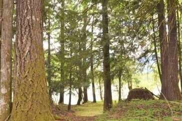 Cowlitz River Cabin