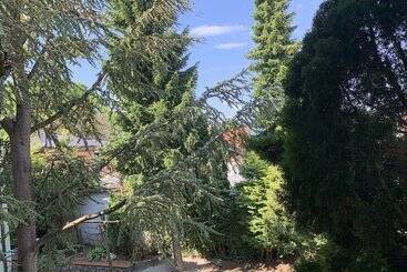 בית מלון כפרי Dietrichsteinerhof Apartments & Rooms