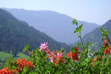 تختخواب و صبحانه Landhaus Hinteregger