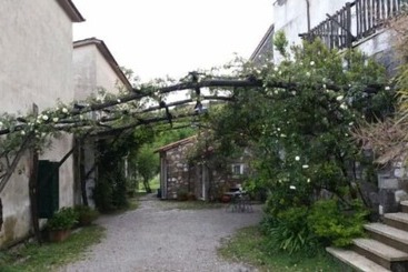 Azienda Agricola Le Tore Srl