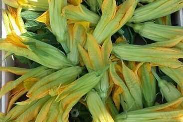 Azienda Agricola Le Tore Srl